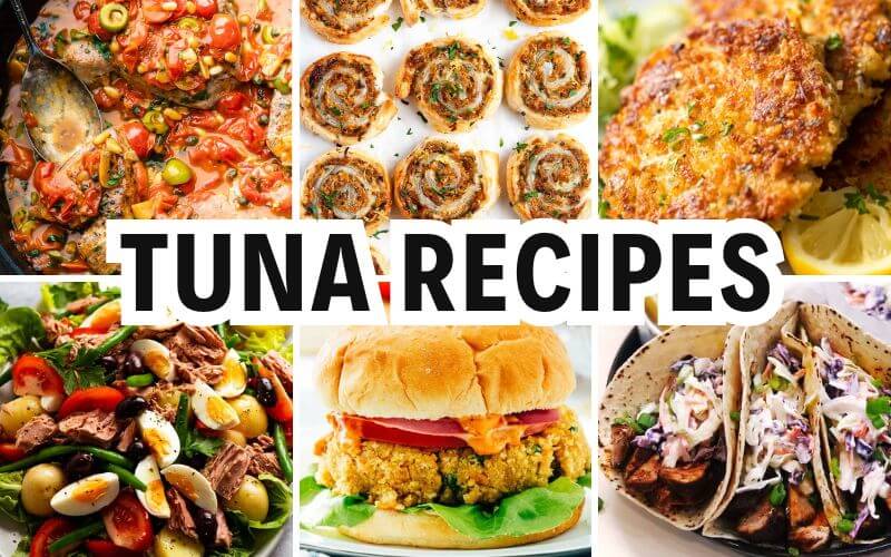 tuna recipes