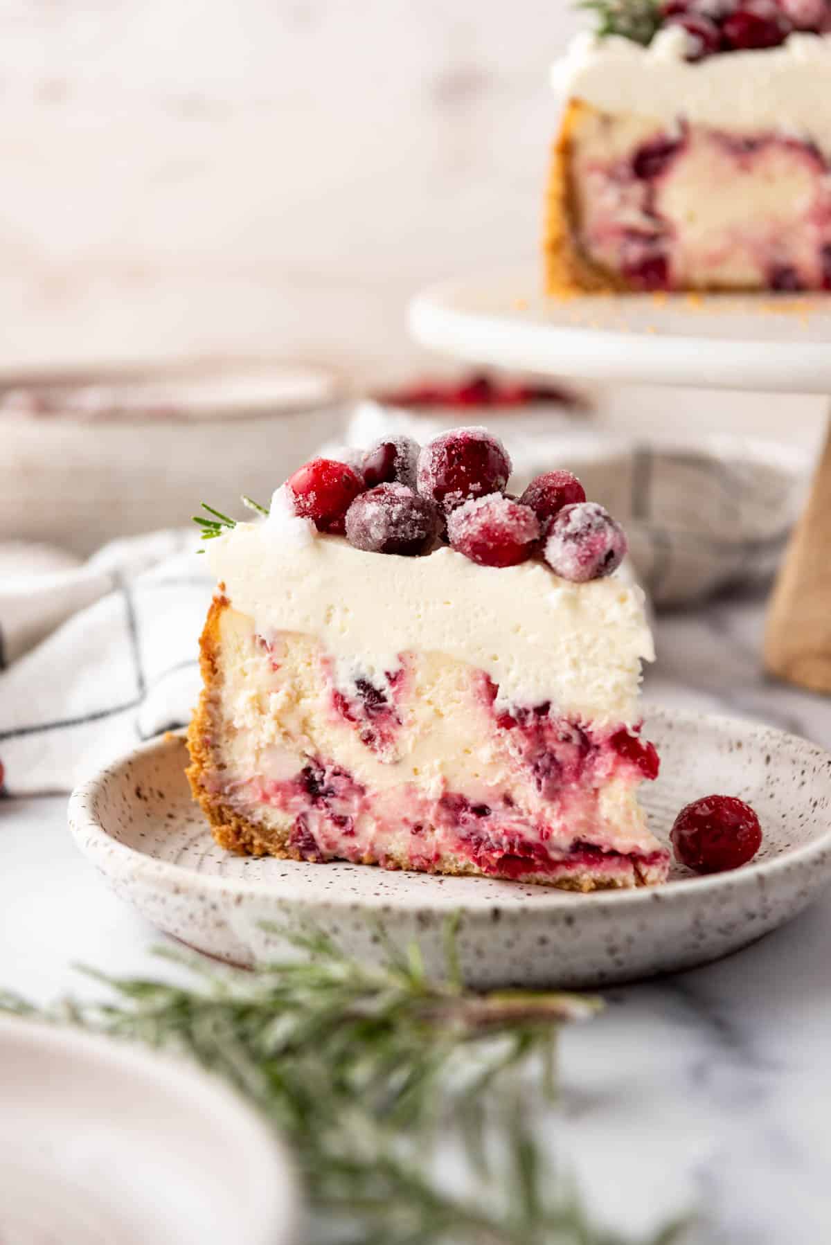 Cranberry Cheesecake