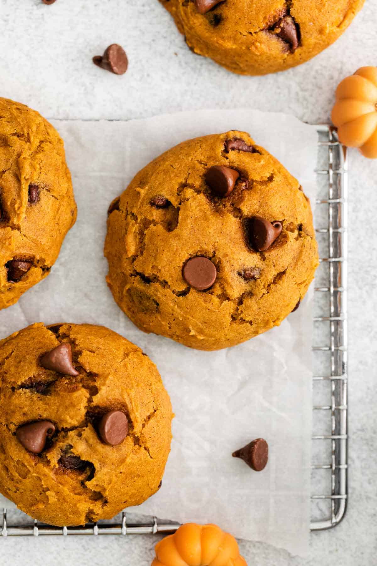 Gluten-Free Pumpkin Chocolate Chip Cookies