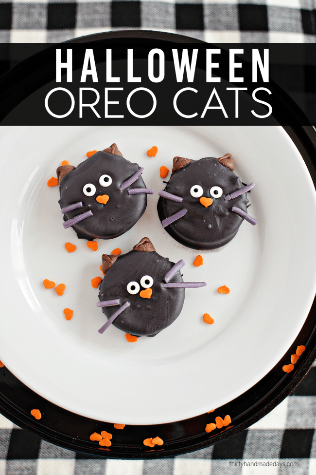 Halloween Oreo Cookie Cats