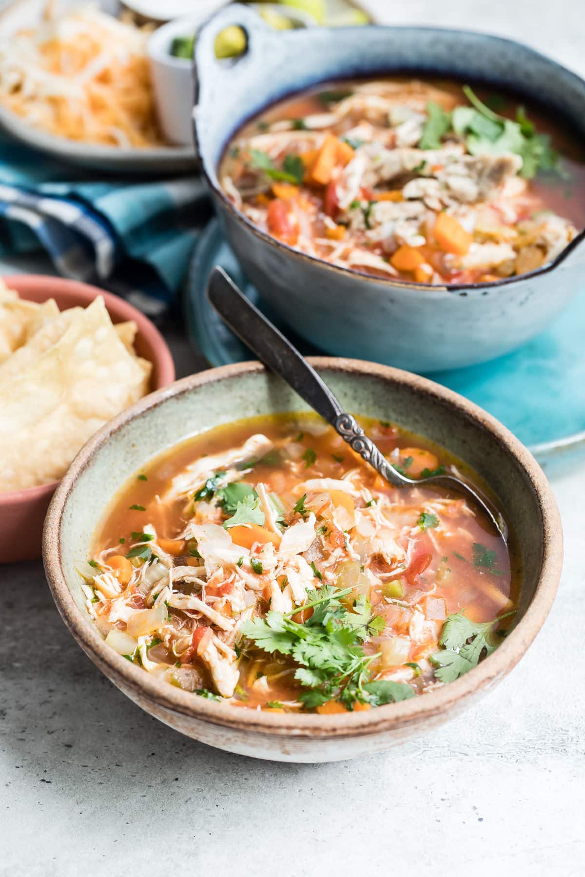 Mexican Chicken Soup