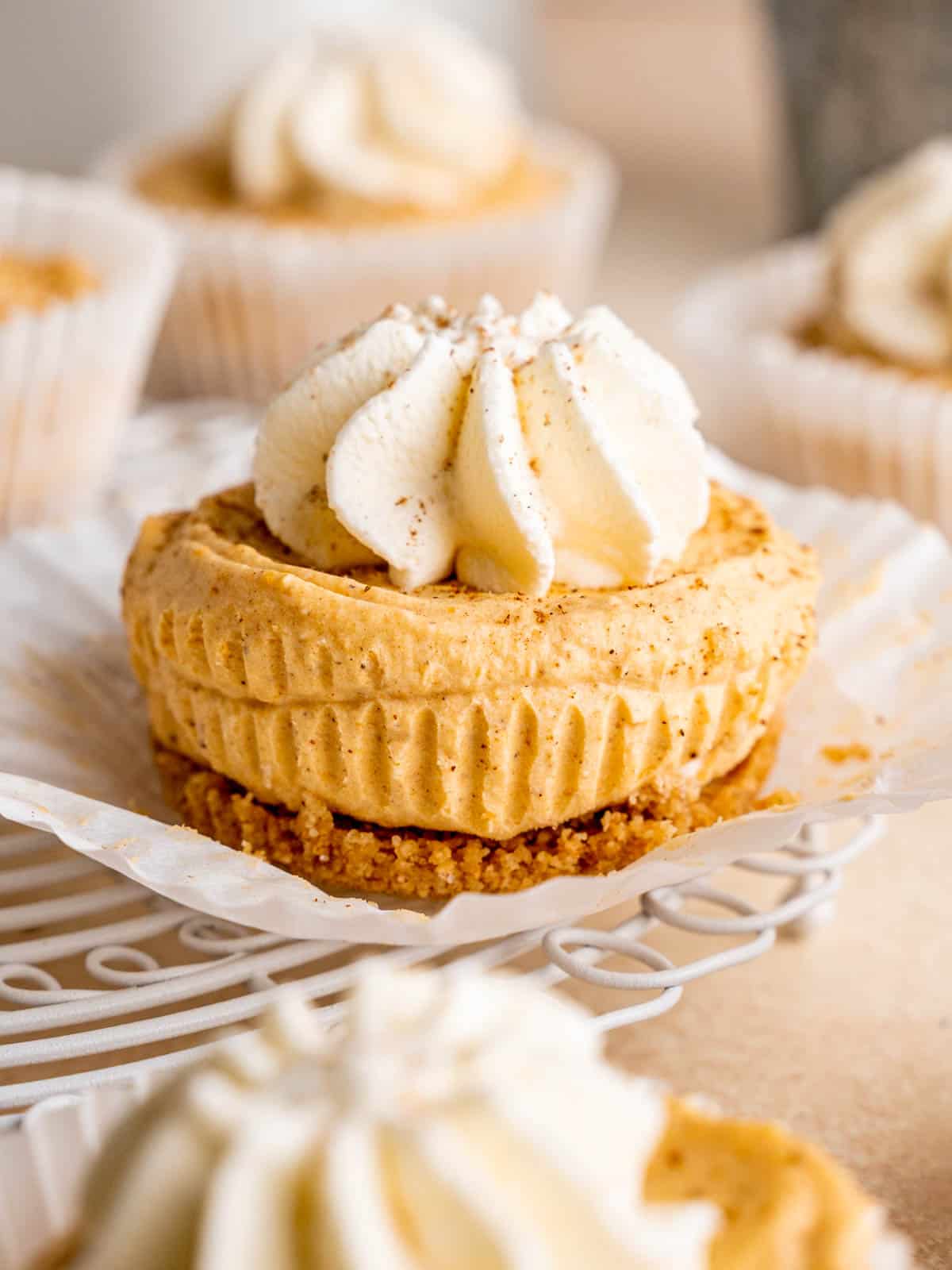 No Bake Mini Pumpkin Cheesecakes