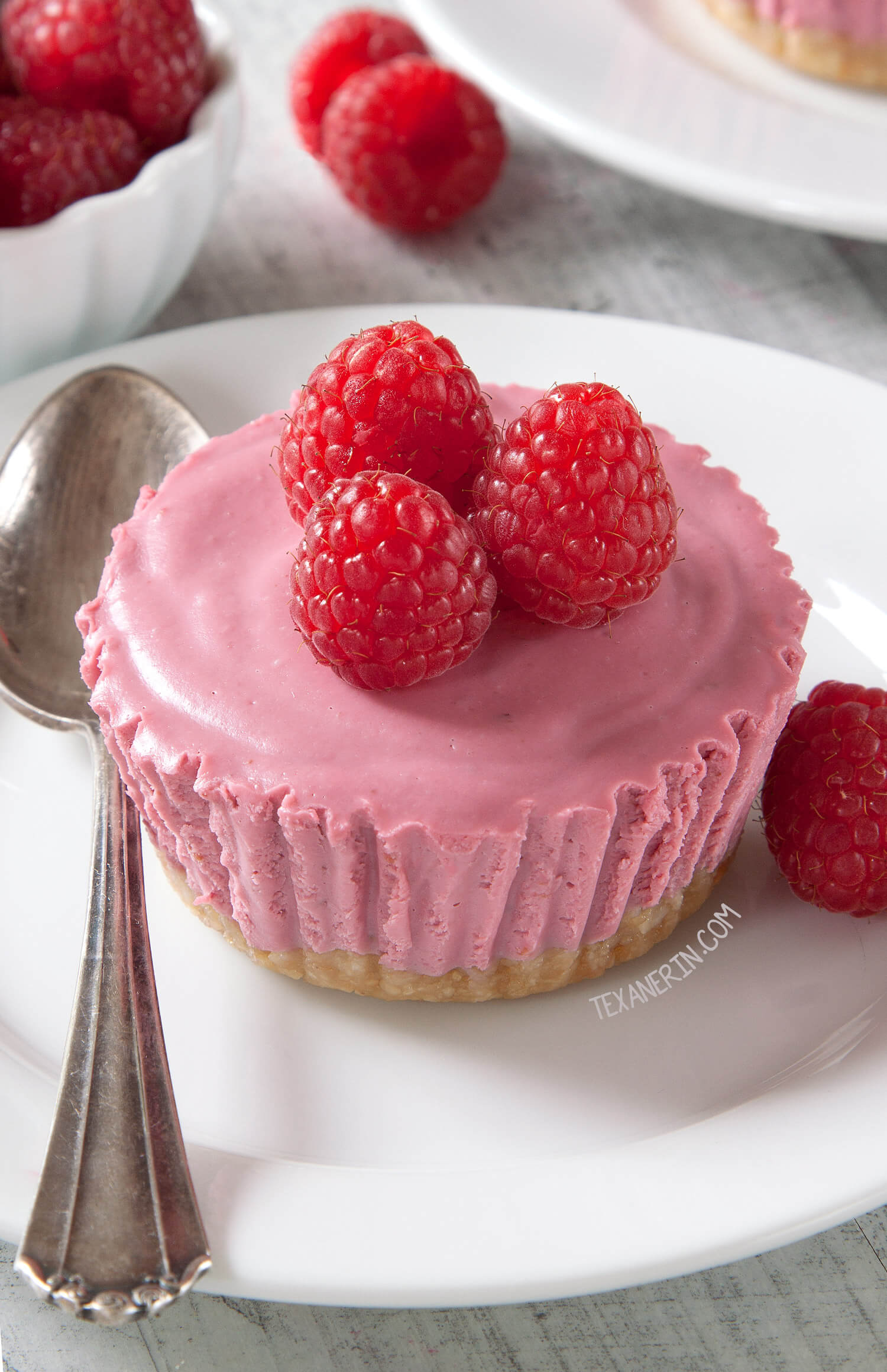 Paleo No-Bake Raspberry Cream Pies (Vegan, Grain-Free, Gluten-Free)