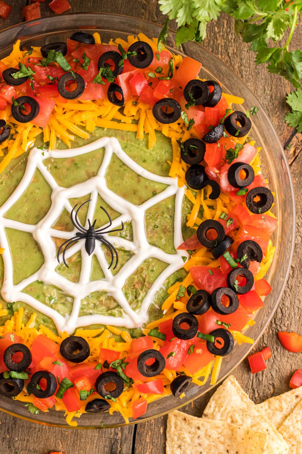 Spider Web Taco Dip