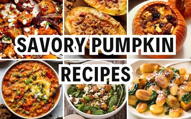 savory pumpkin recipes