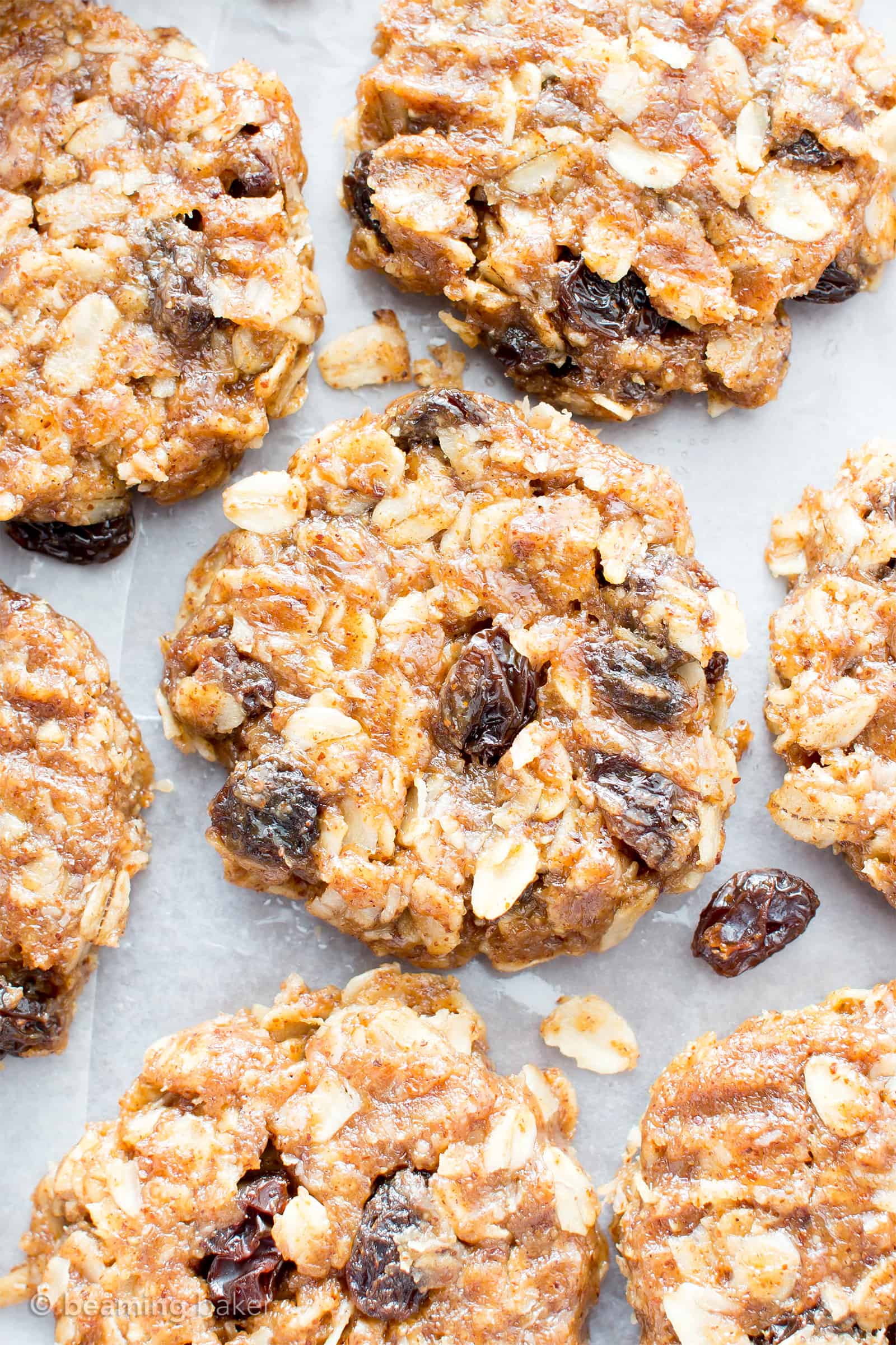 4 Ingredient No-Bake Chewy Oatmeal Raisin Cookies (GF)