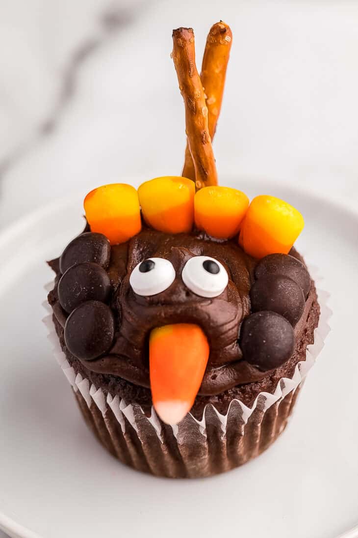 Cute Thanksgiving Turkey Cupcake