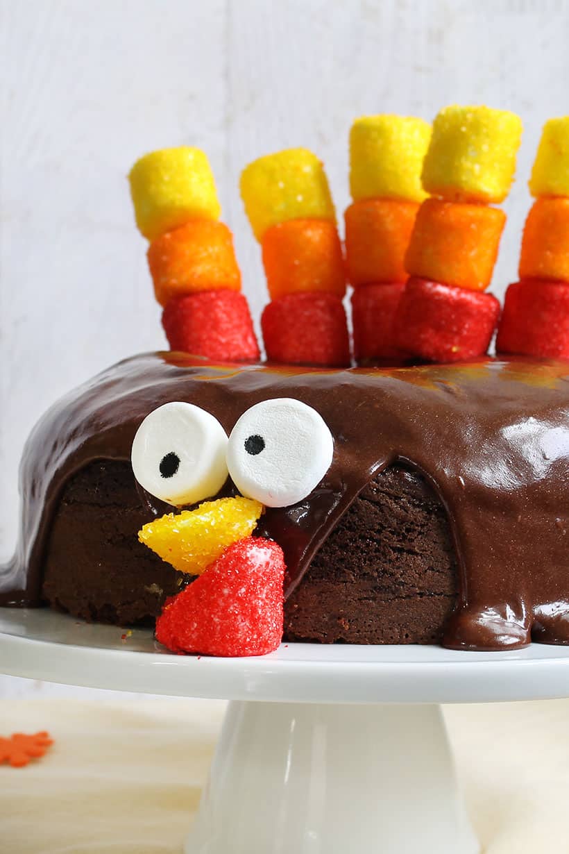 Easy Chocolate Turkey Cake