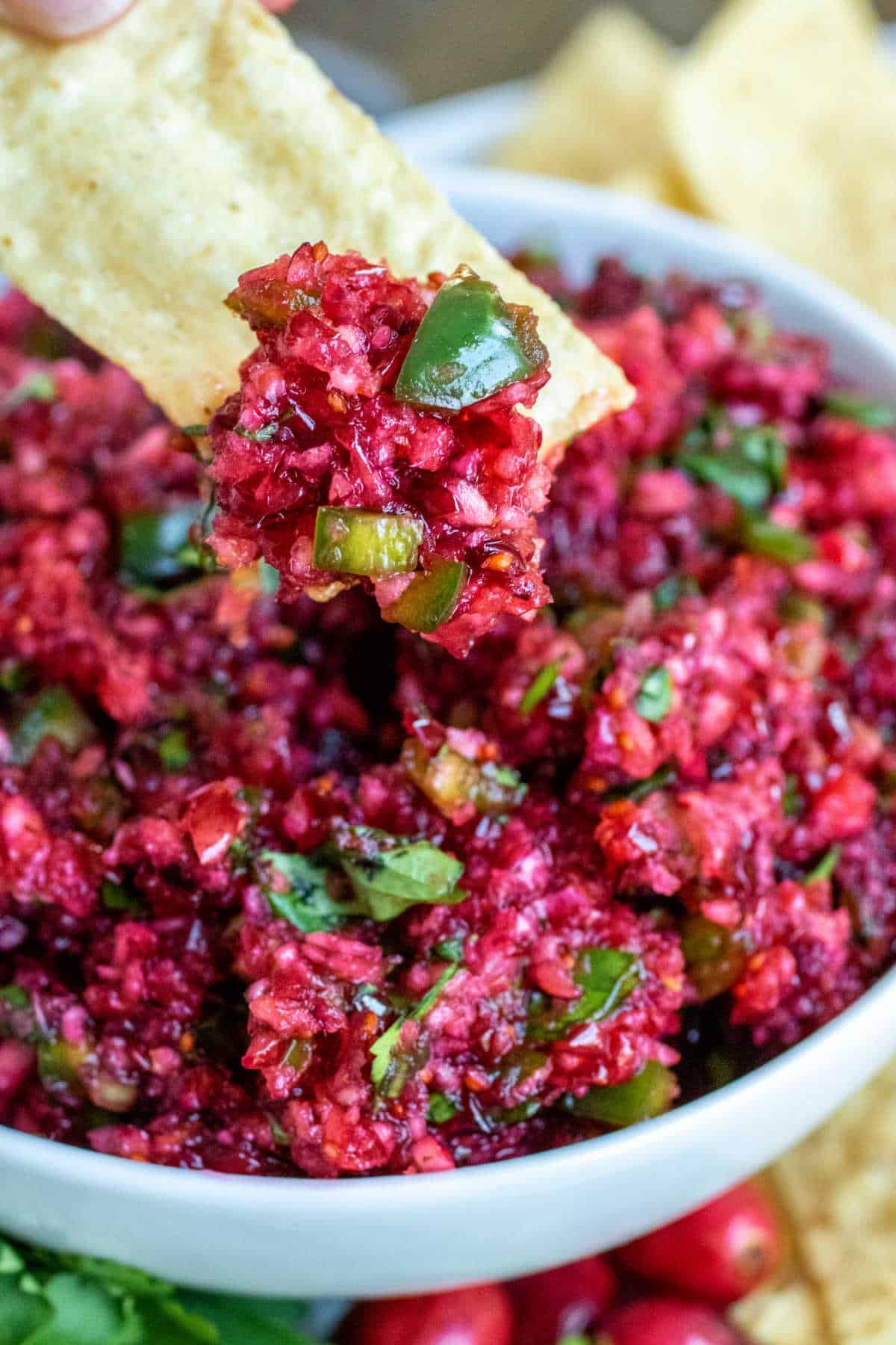 Fresh Cranberry Salsa