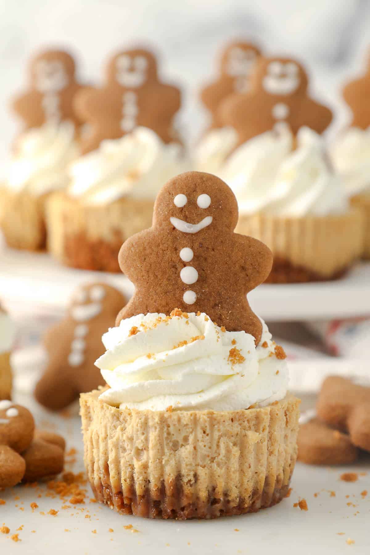Mini Gingerbread Cheesecakes