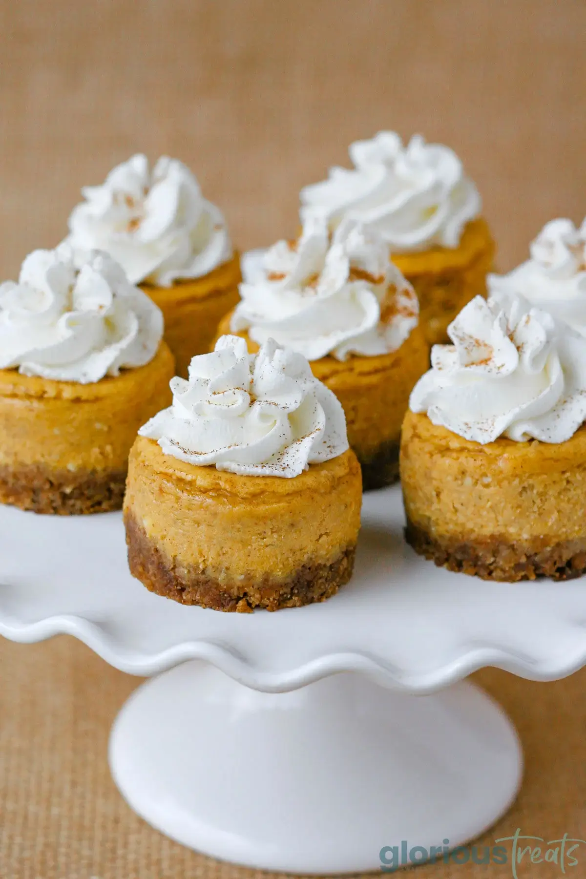 Mini Pumpkin Cheesecake